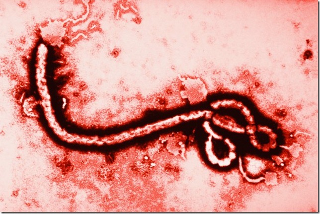 Como-se-contagia-el-ebola-1
