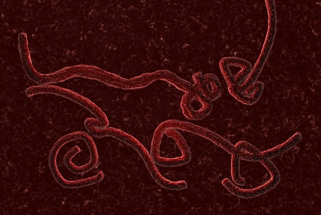Como-se-contagia-el-ebola-2.jpg
