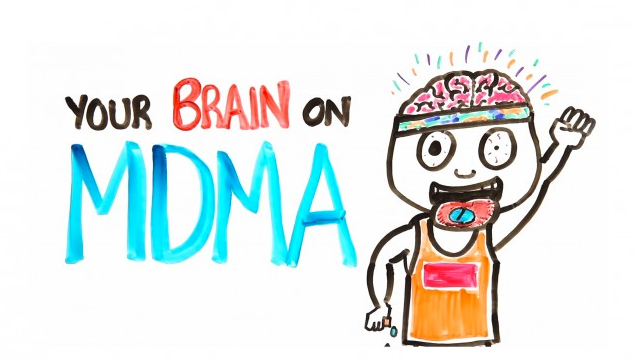 imagen ¿MDMA? Así se ve tu cerebro en drogas (VIDEO)