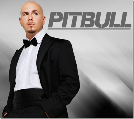 pitbull