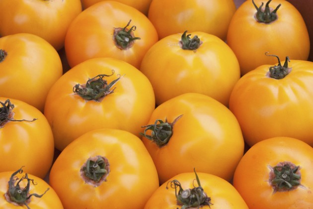 7-alimentos-amarillos-que-deberias-estar-consumiendo-7.jpg