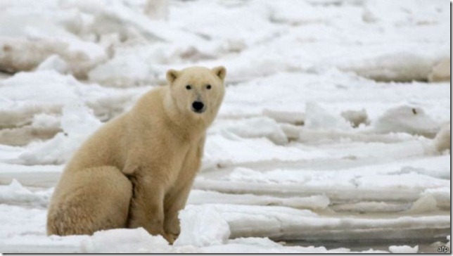 La zona ártica es objeto de intenso interés de varias naciones.