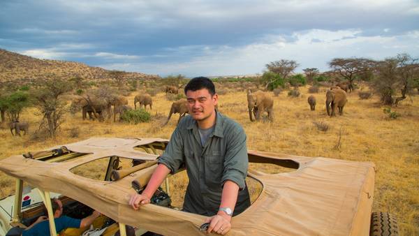 Yao Ming visitó Kenia en su lucha por evitar la caza de elefantes