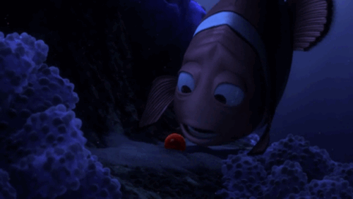 Finding Nemo GIF
