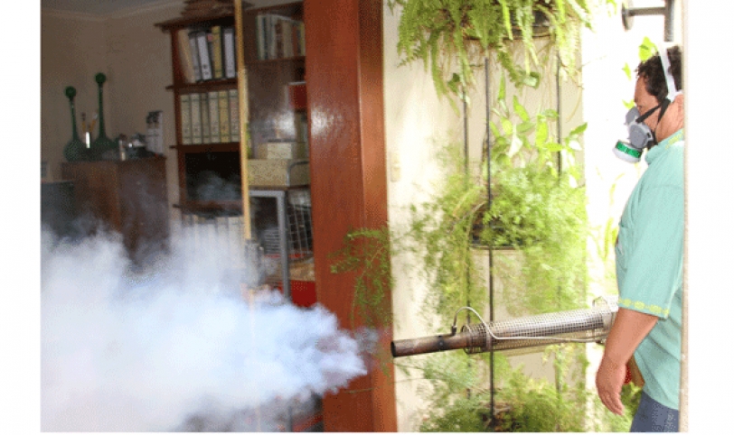 Debido al alto índice de infestación larvaria en la zona de la Pampa de la Isla se iniciarán los trabajos de control de dengue