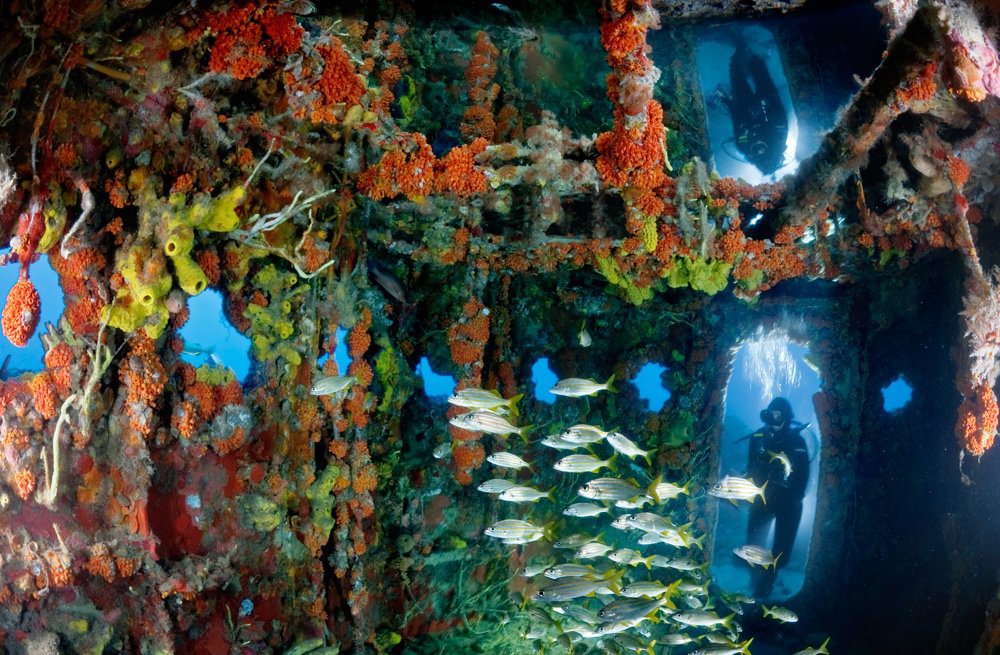 Arrecifes Artificiales