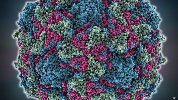 Enterovirus