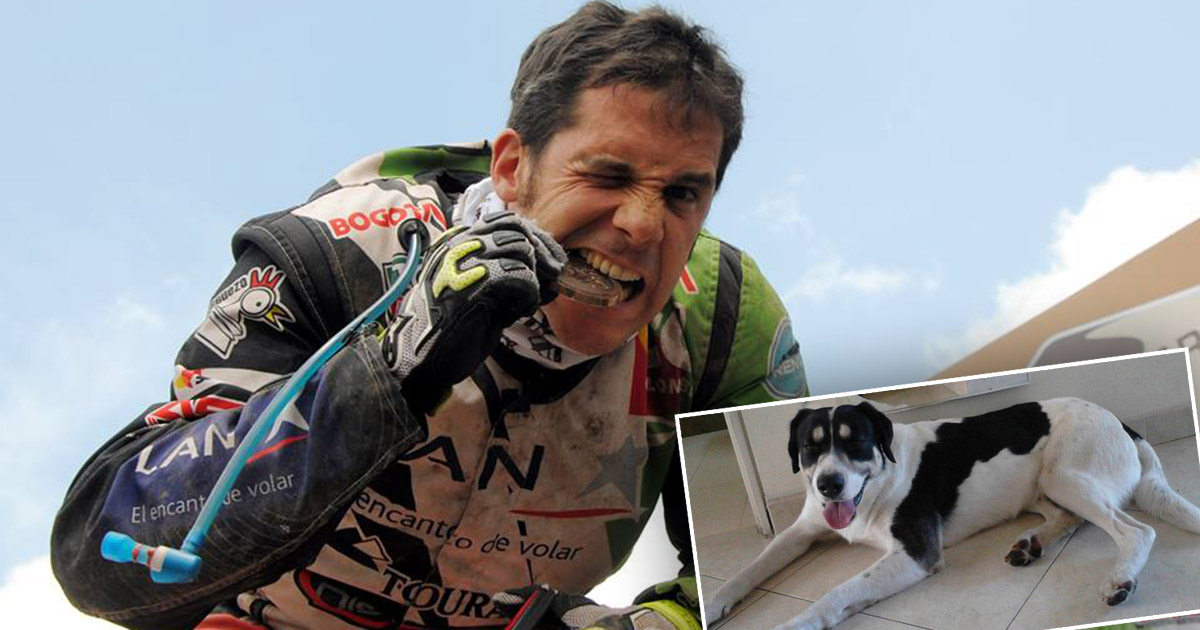 Este es 'Príncipe' el perro que fue asesinado por el piloto Juan Sebastián Toro.