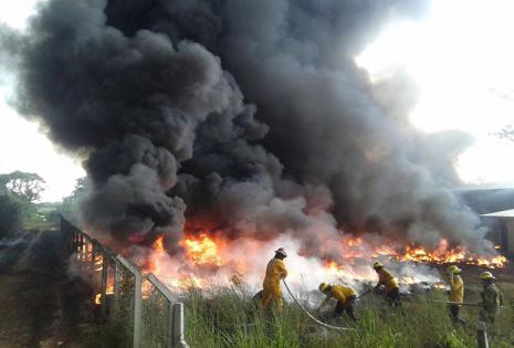 Incendio en la zona de Normandía