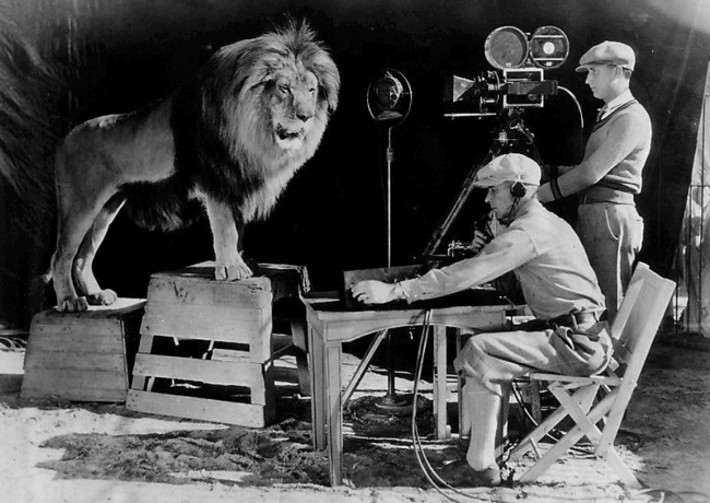 Leon Mgm