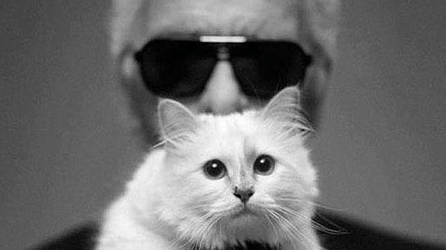La bigotuda heredera de Karl Lagerfeld 