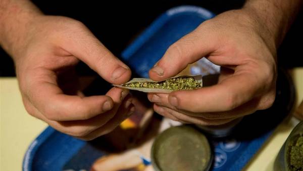 La marihuana gourmet tiene mayores concentraciones de THC, el componente psicoactivo del cannabis./AP