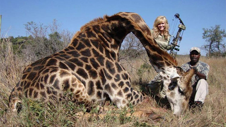 Foto de una cazadora tumbada sonriendo junto a una jirafa muerta desata polémica
