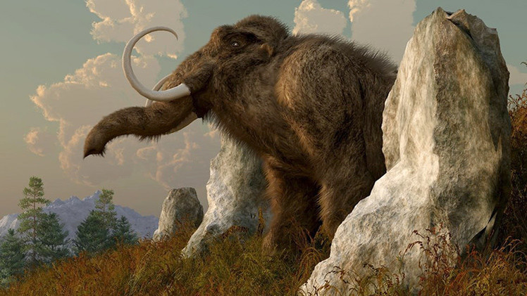 Por primera vez en la historia descifran el genoma del mamut