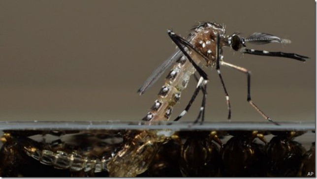 CHIKUNAME2