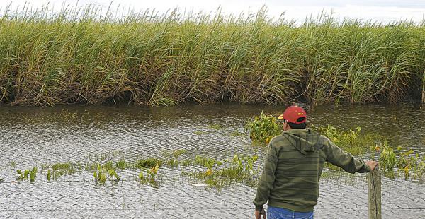 Los productores esperan que cese la lluvia para comenzar los trabajos. Hay temor