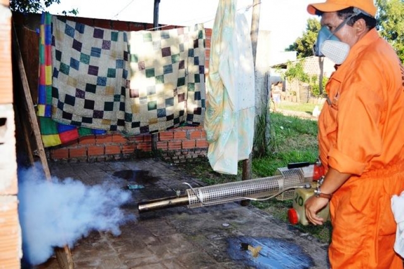 Chikungunya: alrededor de 4.000 manzanos fueron fumigados