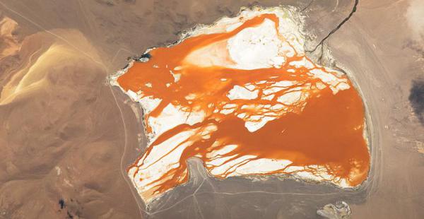 Esta es la "imagen del día" para la NASA, se trata de una foto de Laguna Colorada tomada desde el espacio