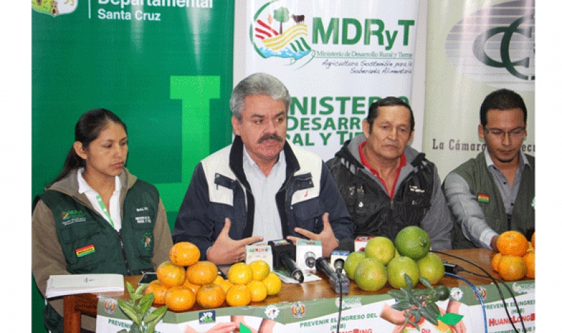 FRUTAS. Este 20 de junio ha sido declarado como el Día nacional de la Prevención del HLB y estará acompañado de una feria.