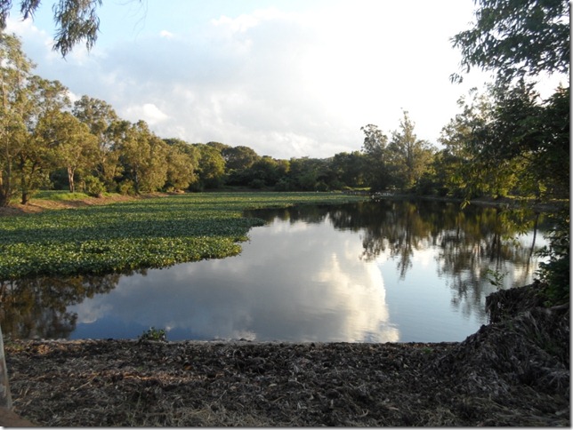 Lagunas dentro de la planta de efluentes