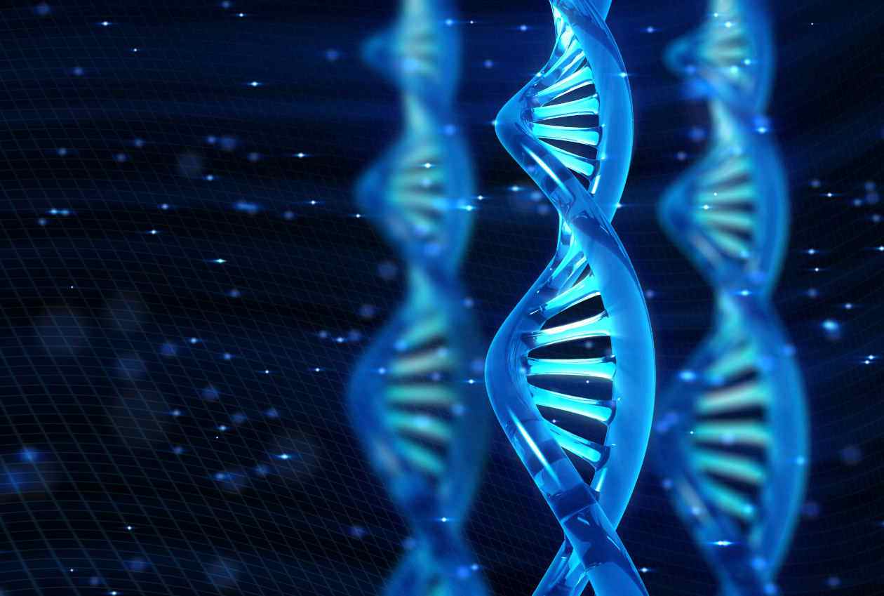 biopolímero