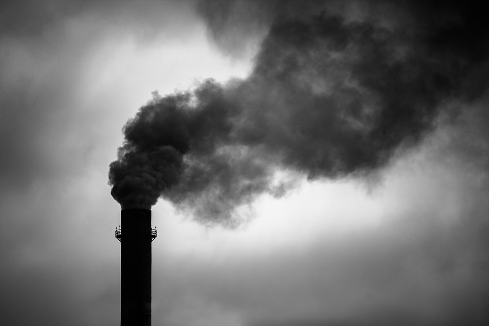 Shutterstock I Slavko Sereda