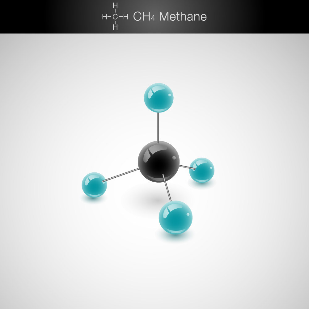 Shutterstock I Anita Ponne