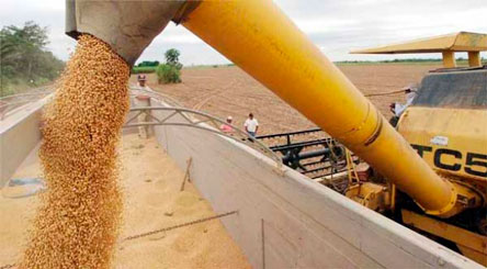Exportadores buscan subir venta de No Tradicionales 