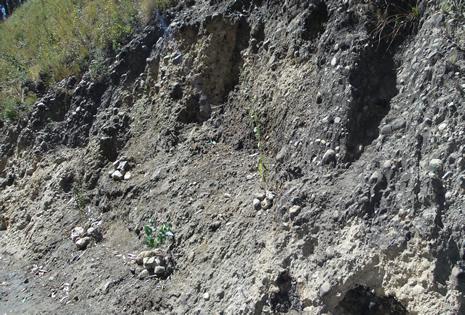 En el lugar se encontraron animales sacrificados, coca, cigarrillos y alcohol.