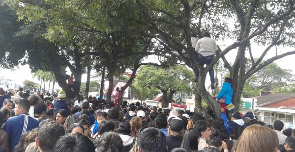 En la avenida Cristobal de Mendoza muchos feligreses subieron hasta los árboles para poder ver a Francisco