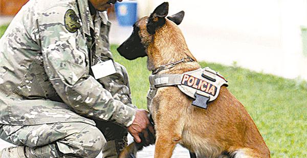 Policías antinarcóticos en plenas tareas contra narcos