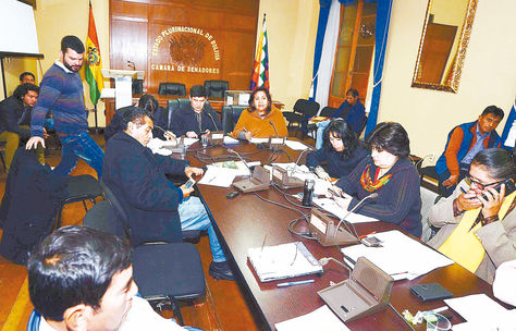 Sesión. La comisión del Legislativo en la redacción del informe final de postulantes, el viernes 3. Foto: Alejandra Rocabado
