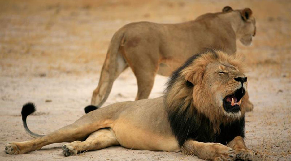 CECIL