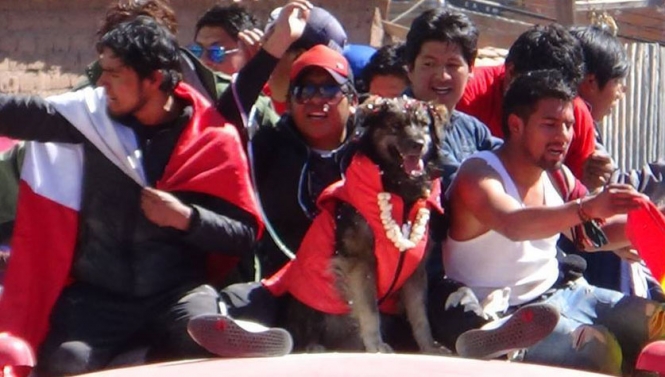 Diputado del MAS: “Movilización de Potosí es un jalón de orejas para el Ejecutivo” Diputado del MAS: “Movilización de Potosí es un jalón de orejas para el Ejecutivo”