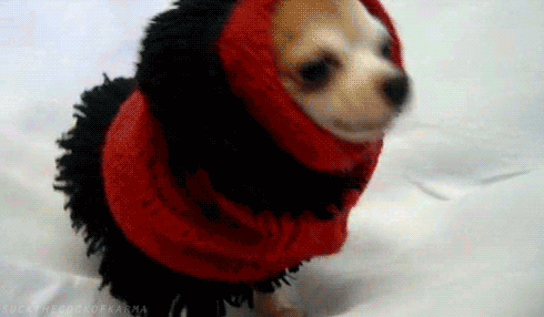 Frio Frio