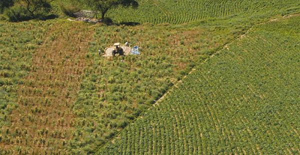 Para 2021, todo el territorio nacional puede estar titulado y el conflicto por la tenencia de tierra disminuirá. Es el reto del INRA para esta gestión