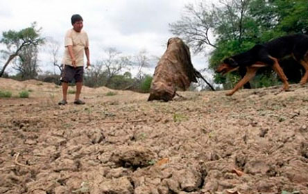 74% de municipios se ha visto afectado por el clima