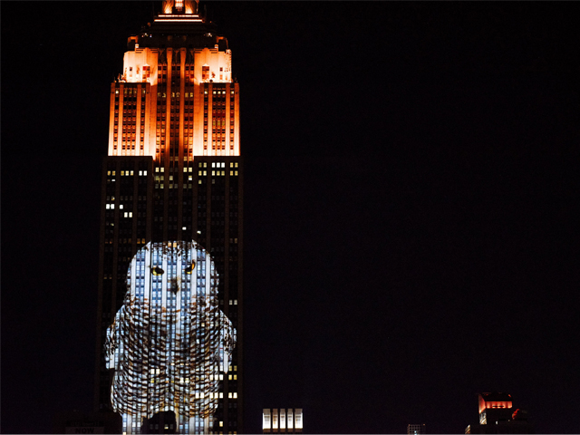 El Empire State fue iluminado con animales en peligro de extinción