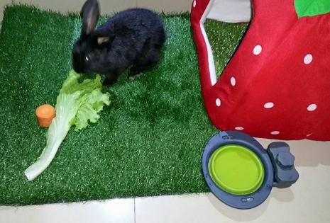 La primera foto de Stuart, el nuevo miembro de la familia