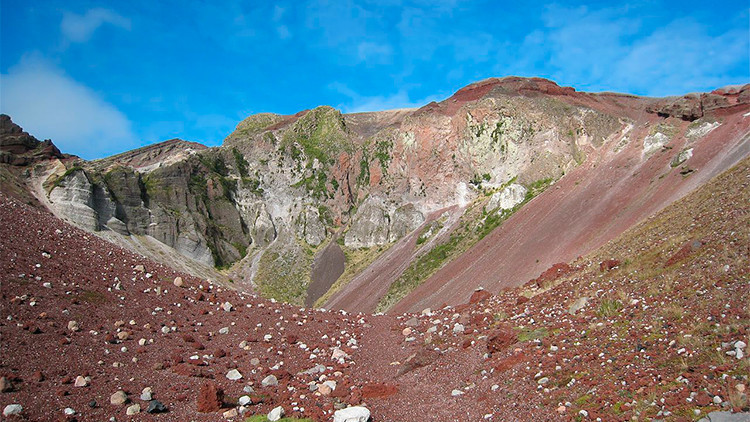 ¿Qué gran tesoro han hallado los científicos en Nueva Zelanda?