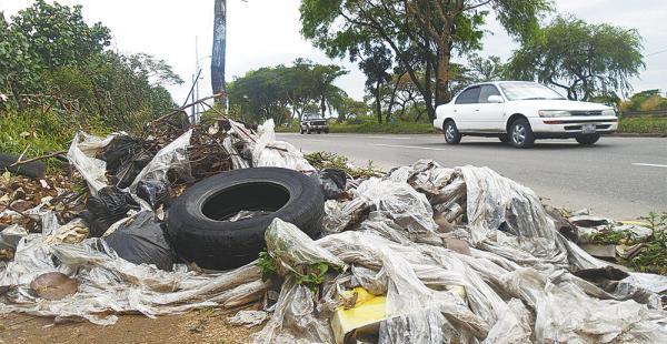 Una llanta vieja, bolsas plásticas, restos de poda y bolsas con basura, en un costado de la av. San Aurelio