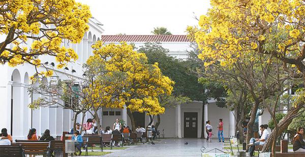 la naturaleza embellece árboles en flor adornan diferentes puntos de la ciudad
