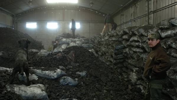 Un depósito de carbón allanado en Campana, una de las escalas de la droga.