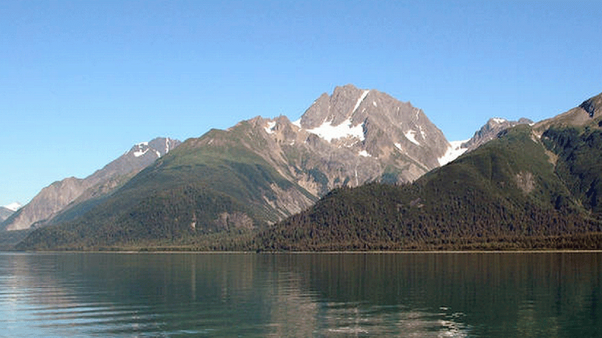 En la fotografía de 2005, el Glaciar Muir ya no es visible, ya que se ha retirado más de 50 kilómetros. No hay hielo flotante y se observa abundante vegetación