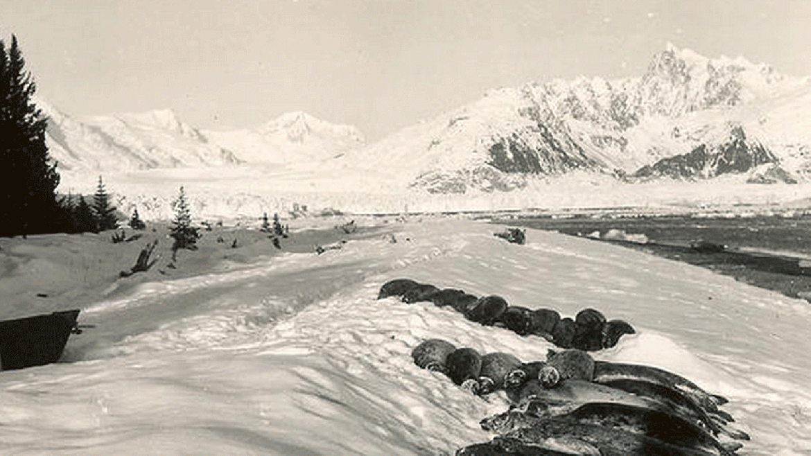 La imagen fue tomada desde la costa oeste de la Bahía Harris, en el Parque Nacional de los Fiordos de Kenai, en las montañas de Kenai en Alaska. Data de un invierno o una primavera temprana, probablemente entre 1920 y 1940
