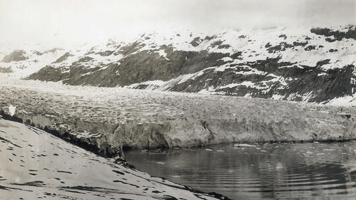 La fotografía fue tomada en 1899 y muestra los aproximadamente 60 metros de alta marea del Glaciar Reid luego retirarse. La ladera está cubierta por unos pocos centímetros de nieve. No hay árboles presentes en la ladera 