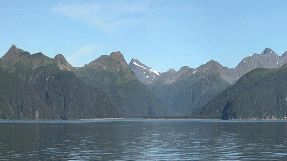 Esta fotografía de 2004 documenta la retirada del Glaciar McCarty del campo de visión, superior a los 15 kilómetros. Se observa vegetación diversa