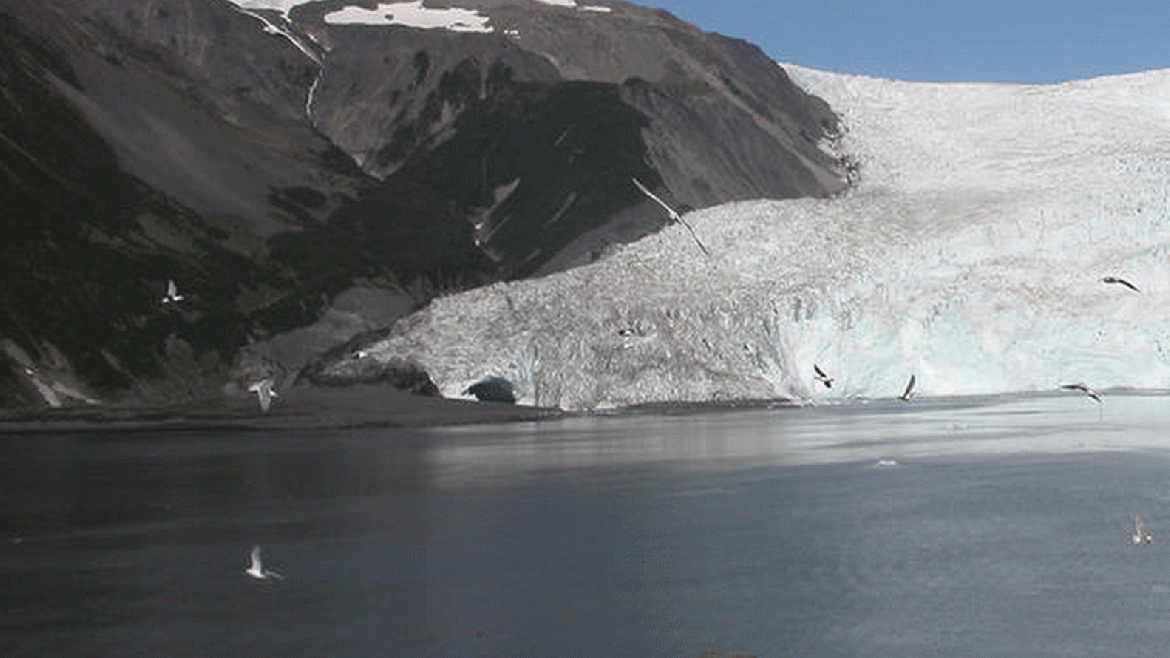 La segunda fotografía data del 12 de agosto de 2005. En los 96 años transcurridos el terminal del Glaciar Aialik permanece cerca de su posición de 1909, retrocediendo un máximo de 300 metros y con un adelgazamiento de entre 20 y 50 metros