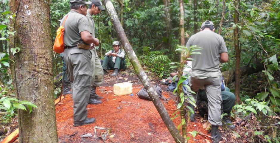 El operativo realizado por la Alcaldía de San Carlos, la ABT y la Dirección del Parque Nacional Amboró encontró evidencias de mara talada en Mataracú