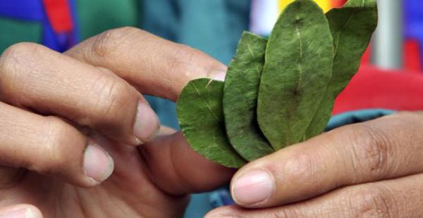 La hoja de coca será repartida a los visitantes en 'chuspas', como se conoce a las bolsas tejidas a mano.